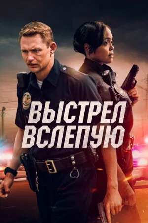 Выстрел вслепую (фильм, 2020)