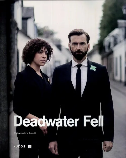 Падение в мёртвые воды (сериал, 2020) Падение в мёртвые воды (сериал, 2020)