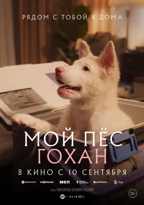 Мой пёс Гохан (фильм, 2026) Мой пёс Гохан (фильм, 2026)