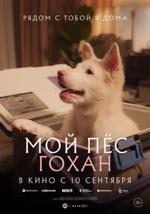 Мой пёс Гохан (фильм, 2026)