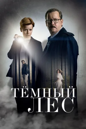 Тёмный лес (сериал, 2020)
