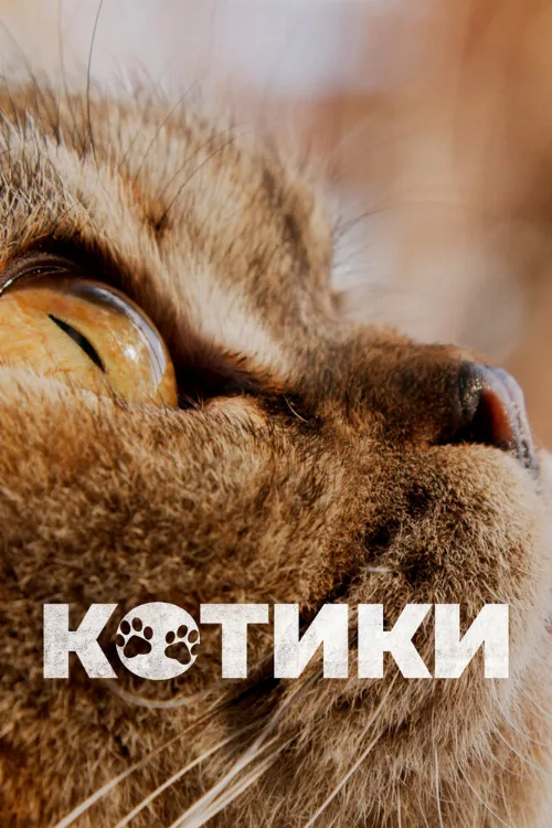 Котики (фильм, 2022) Котики (фильм, 2022)