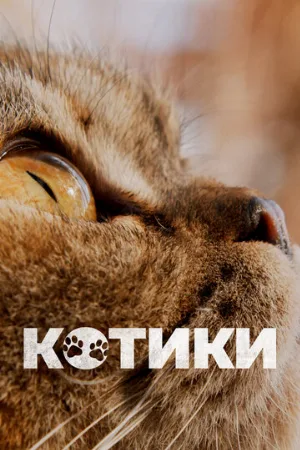 Котики (фильм, 2022)