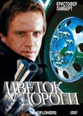 Фильм Цветок у дороги (1993) смотреть онлайн