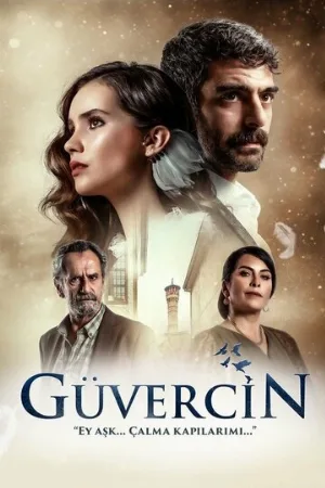 Голубка (сериал, 2019)