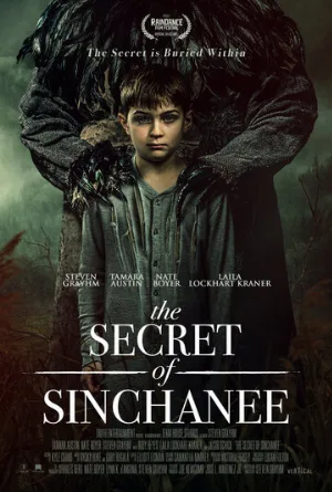 Тайна Синчани (фильм, 2021)