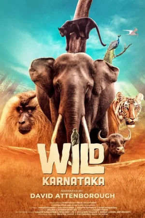 Дикая Карнатака (фильм, 2020)