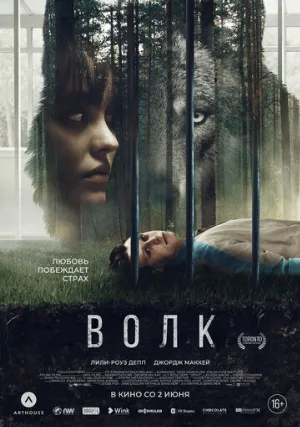 Волк (фильм, 2021)