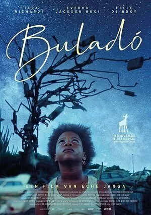 Летучая рыба (фильм, 2020)