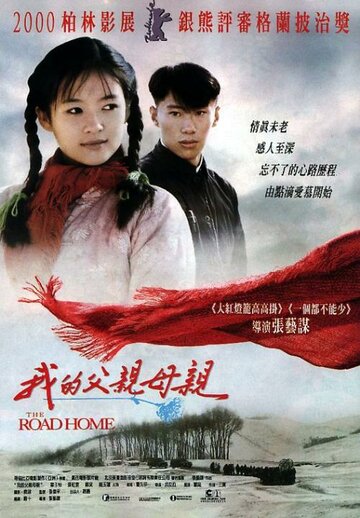 Дорога домой (фильм, 1999)