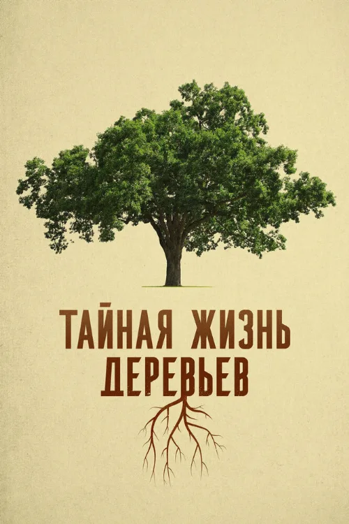 Тайная жизнь деревьев (фильм, 2020) Тайная жизнь деревьев (фильм, 2020)