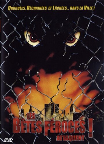 Дикие звери (фильм, 1984)