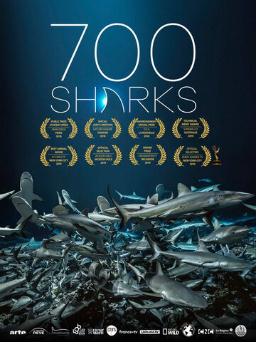 700 акул (фильм, 2018) 700 акул (фильм, 2018)