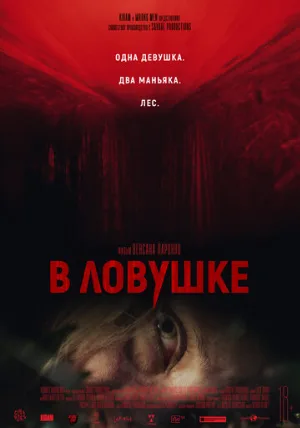 В ловушке (фильм, 2020)