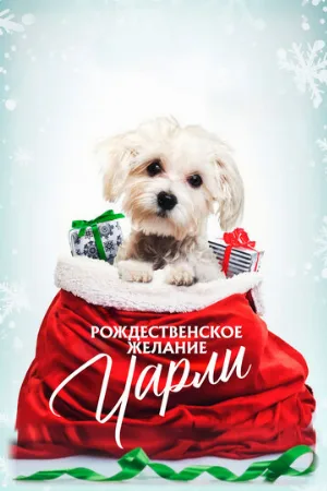 Рождественское желание Чарли (фильм, 2020)