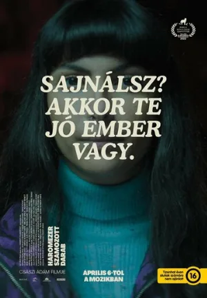 Три тысячи пронумерованных деталей (фильм, 2022)
