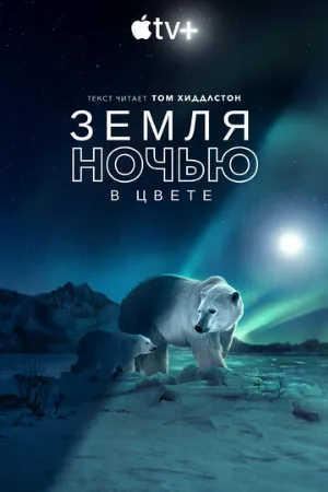 Земля ночью в цвете (тв-шоу, 2020)