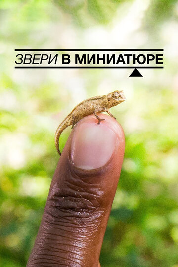 Звери в миниатюре (фильм, 2017) Звери в миниатюре (фильм, 2017)
