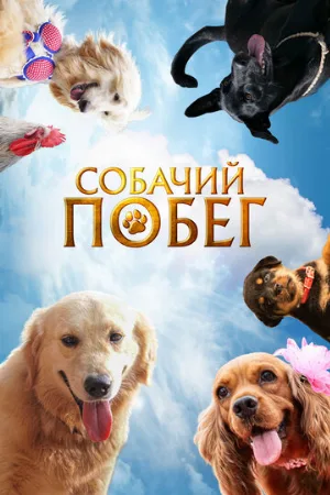 Собачий побег (фильм, 2023)