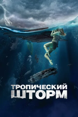 Тропический шторм (фильм, 2022)