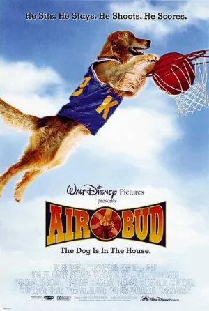 Король воздуха (фильм, 1997)