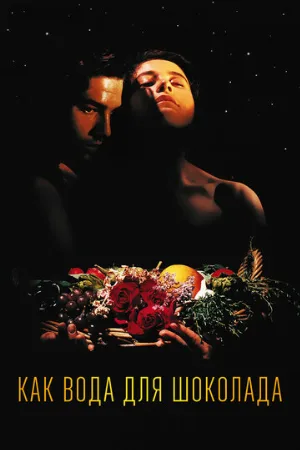 Как вода для шоколада (фильм, 1991)
