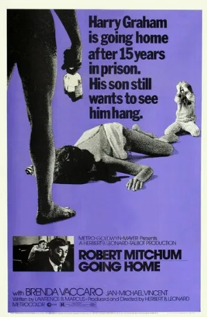 Иди домой (фильм, 1971)