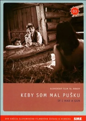 Если бы у меня было ружье (фильм, 1971)