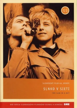 Солнце в сети (фильм, 1963)