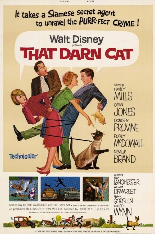 Эта дикая кошка (фильм, 1965) Эта дикая кошка (фильм, 1965)
