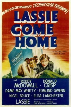 Лесси возвращается домой (фильм, 1943) Лесси возвращается домой (фильм, 1943)