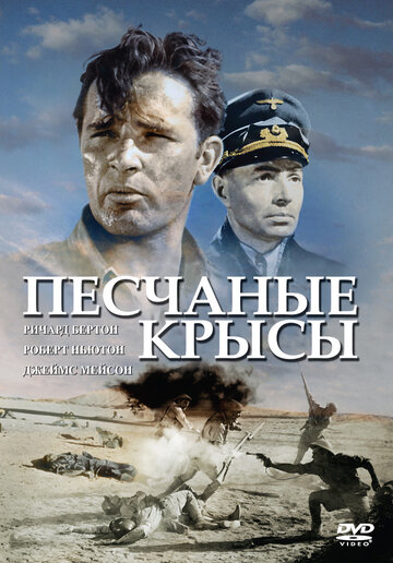 Фильм Песчаные крысы (1953) смотреть онлайн