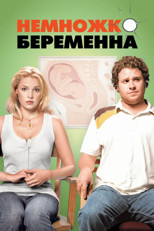 Немножко беременна (фильм, 2007)
