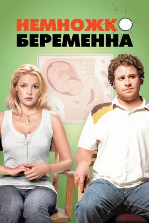 Немножко беременна (фильм, 2007)