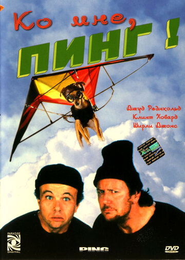 Ко мне, Пинг! (фильм, 2000)