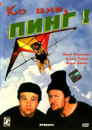 Ко мне, Пинг! (фильм, 2000)