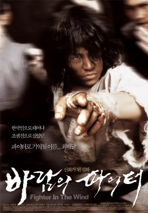 Воин ветра (фильм, 2004)
