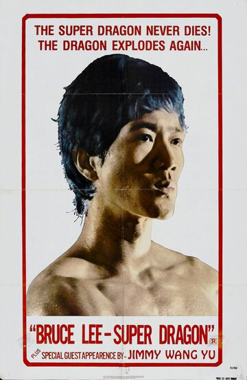 Брюс Ли, мы скучаем по тебе (фильм, 1975) Брюс Ли, мы скучаем по тебе (фильм, 1975)