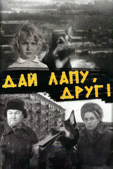 Дай лапу, Друг (фильм, 1967) Дай лапу, Друг (фильм, 1967)