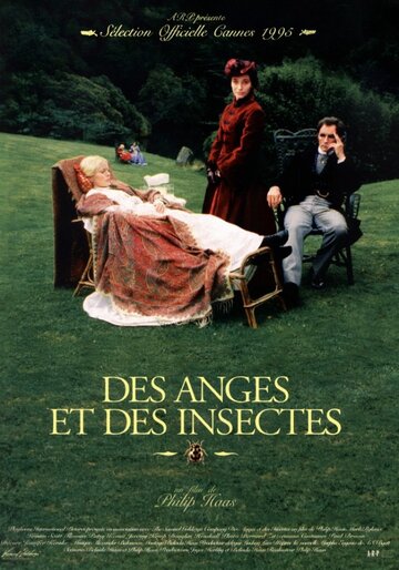 Ангелы и насекомые (фильм, 1995) Ангелы и насекомые (фильм, 1995)