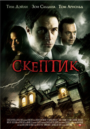 Скептик (фильм, 2007)