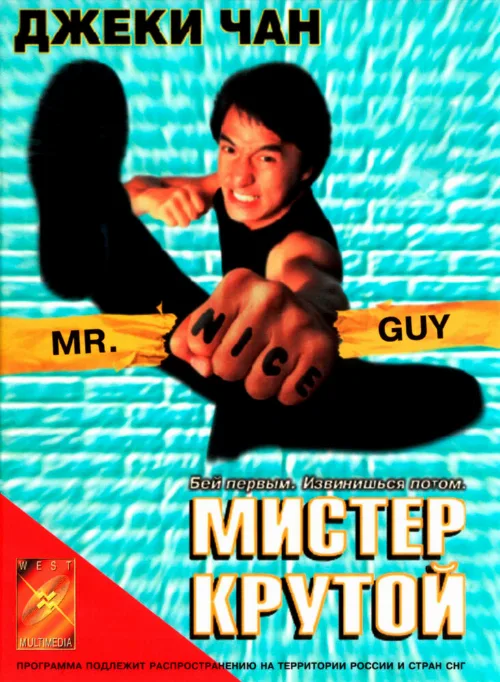 Мистер Крутой (фильм, 1996)