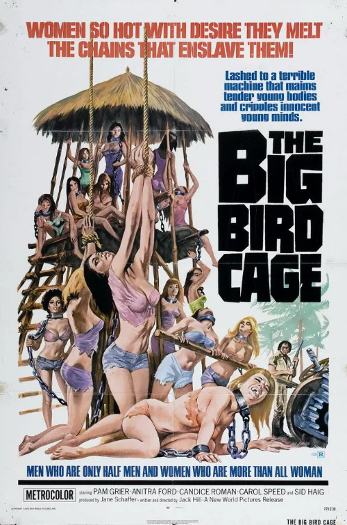 Большая клетка для птиц (фильм, 1972) Большая клетка для птиц (фильм, 1972)