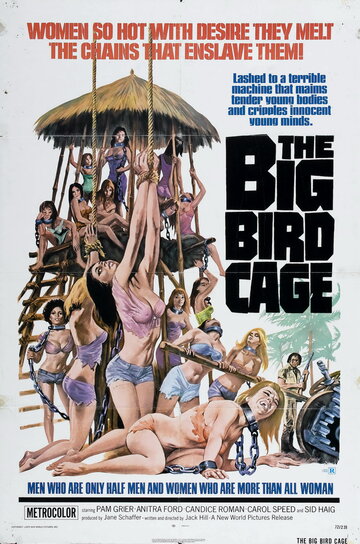 Большая клетка для птиц (фильм, 1972)