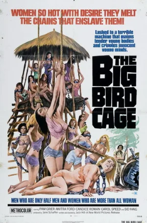 Большая клетка для птиц (фильм, 1972)