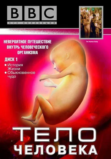 BBC: Тело человека (сериал, 1998) BBC: Тело человека (сериал, 1998)