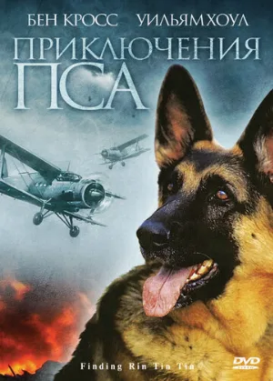 Приключения пса (фильм, 2007)