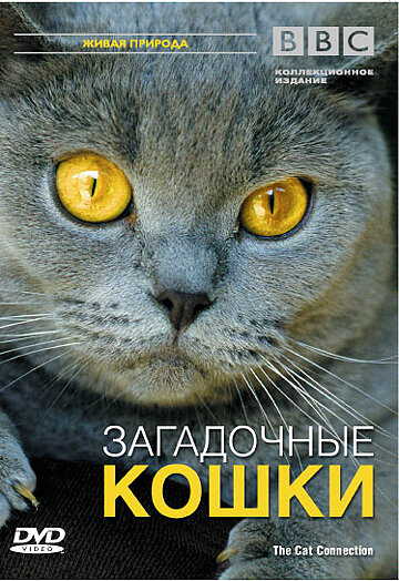 BBC: Загадочные кошки (фильм, 2002) BBC: Загадочные кошки (фильм, 2002)