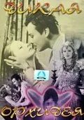 Дикие орхидеи (фильм, 1929)