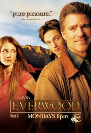 Любовь вдовца (сериал, 2002)